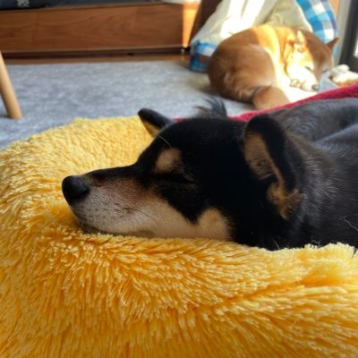 かわちゃん